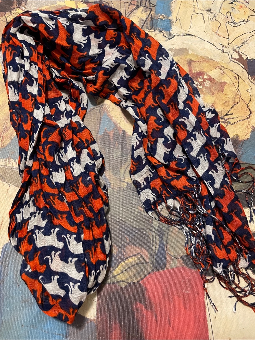 Auburn university Scarf